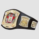 Edge’s Rated R Spinner Title Belt